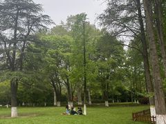 -习家池