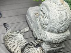 -正阳书局(西四南大街店)