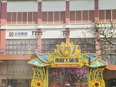 -西双版纳原始森林公园