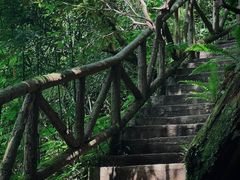-龙苍沟森林公园