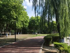 -黛秀湖公园
