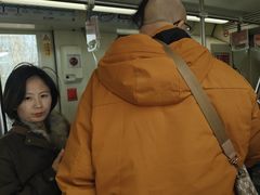 -浦江镇(地铁站)