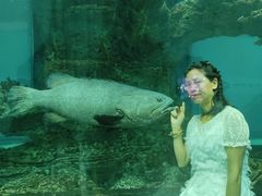 -乐从天佑城海洋馆