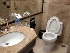 -长沙小天鹅戴斯酒店