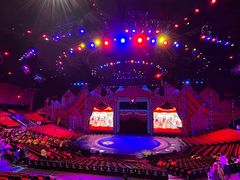 -珠海横琴长隆《卡卡虎奇遇记》