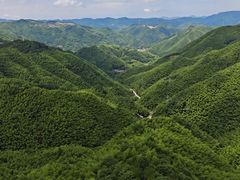 -四明山国家森林公园