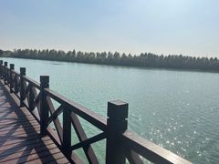 -南湖湿地公园