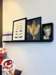 -甲舍美甲美睫艺术馆