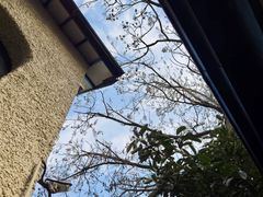 -上海蔡元培故居陈列馆