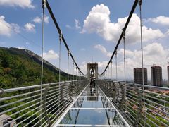 -客天下恐龙水晶玻璃桥