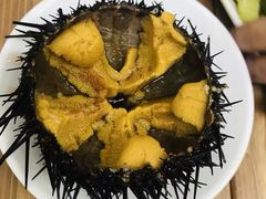 活海胆-海胆小馆(春柳店)