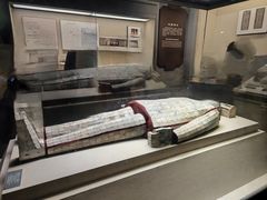 -合肥大剧院