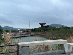 -芒洲湿地公园
