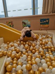 -奈尔宝·儿童乐园·亲子餐厅(长沙北辰荟店)