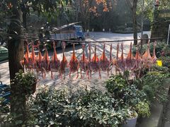 -国生茶庄·地道农家菜团建活动