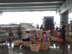 -中国舟山国际水产城