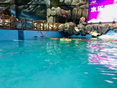 景点-长白山万达水乐园