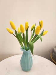 -恩舍瑜伽普拉提