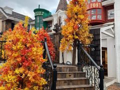 -Blue Concept Cafe&Farm·關於藍