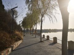 -青龙湖公园