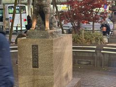 -涩谷区