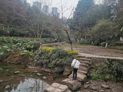 -重庆彩云湖湿地公园