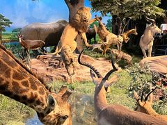 -国家自然博物馆