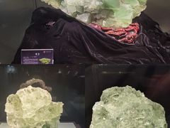 -中华赏石园
