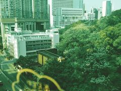 -香港皇家太平洋酒店