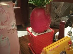 -白天鹅宾馆·月兔吧