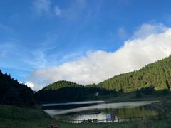 -武陵山森林公园