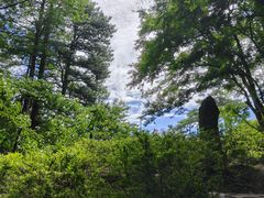 -庐山风景区花径公园