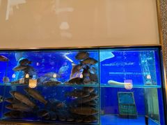 -顺峰顺水顺德菜(第一百货店)
