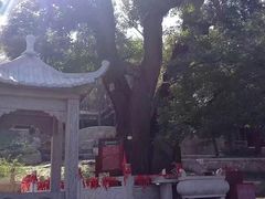 -封龙山风景区