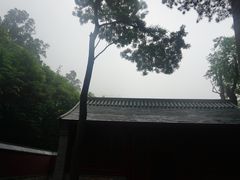 -北京上方山国家森林公园