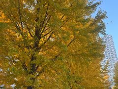 -锦江富园大酒店-游泳馆