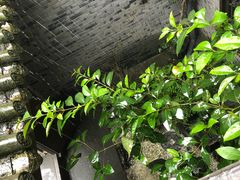 -亦缘居私家别院