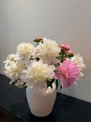 点击看大图 -花隐瑜伽·普拉提·红绳