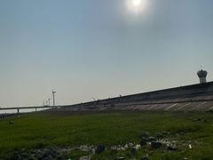 -南汇新城海滩
