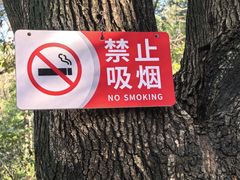 -攀枝花公园