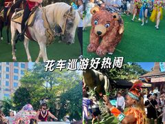 -灵玲国际马戏城