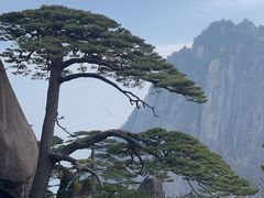 -黄山风景区
