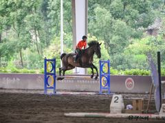 -重庆和泰马术俱乐部