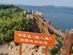-杨梅坑