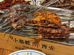 -福苗小骆驼烧烤(莲湖路店)