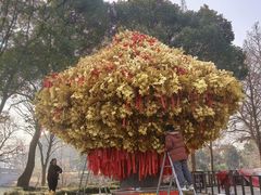 -狼山风景名胜区