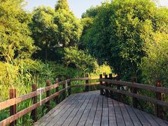 -杭州西溪宾馆-松露西餐厅