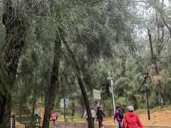 -大京沙滩