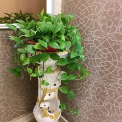 -久匠·纹眉半永久野生眉