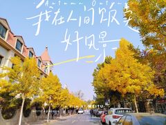 -天津五大道文化旅游区